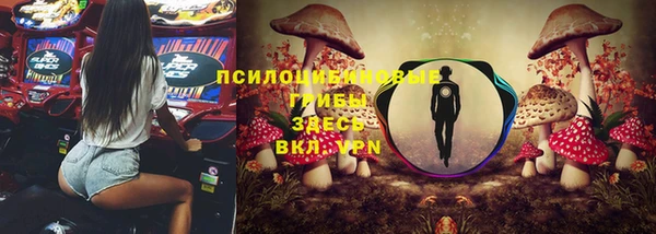 скорость Дмитриев