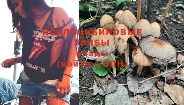 скорость Дмитриев
