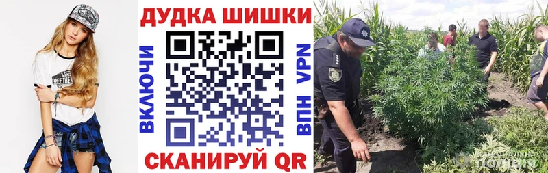 Купить закладки  Ишимбай  Бошки марихуана семена 